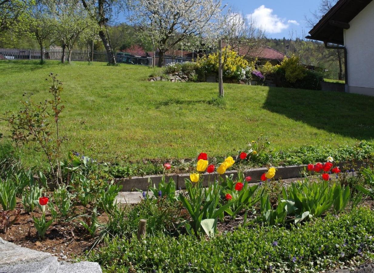Ferienhaus Bayerwald Ringelai Exterior foto